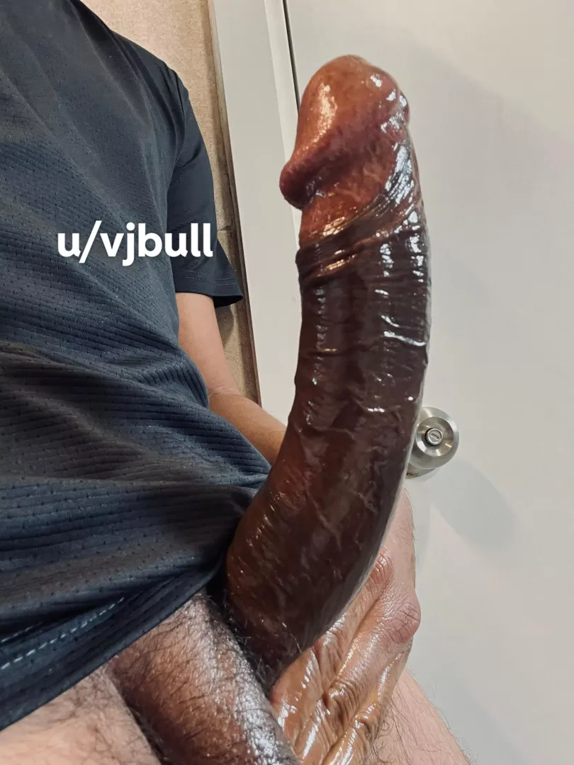 The gun is oiled and loaded posted by vjbull