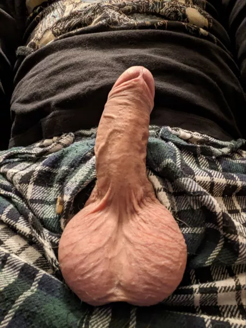 They're full, don't you think? by Brilliant-Impress-92