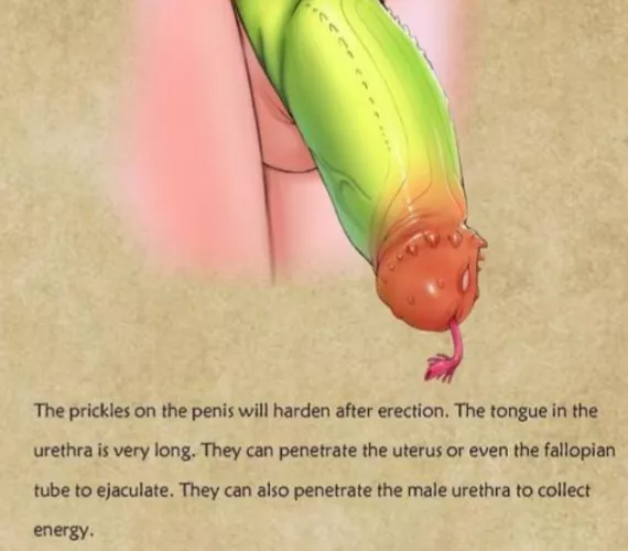 thoughts? hot or not ? by No_Chipmunk_8106