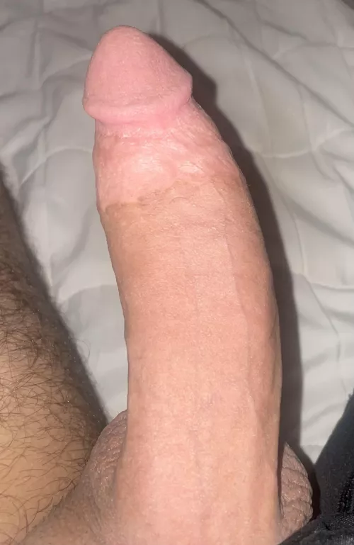 Upvote uf you like my dick by randomdude2028