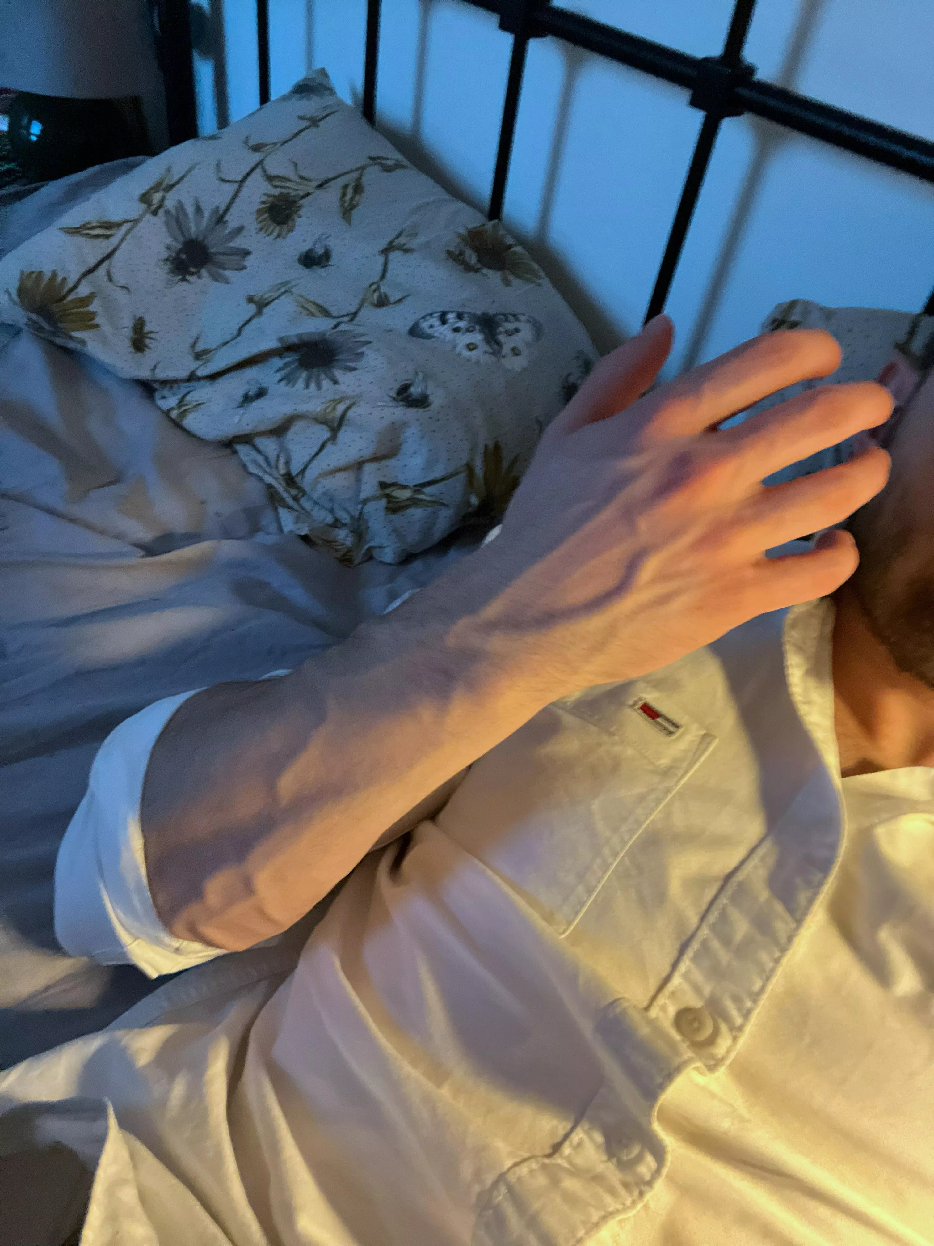 Veins posted by Ok-Marionberry-5819