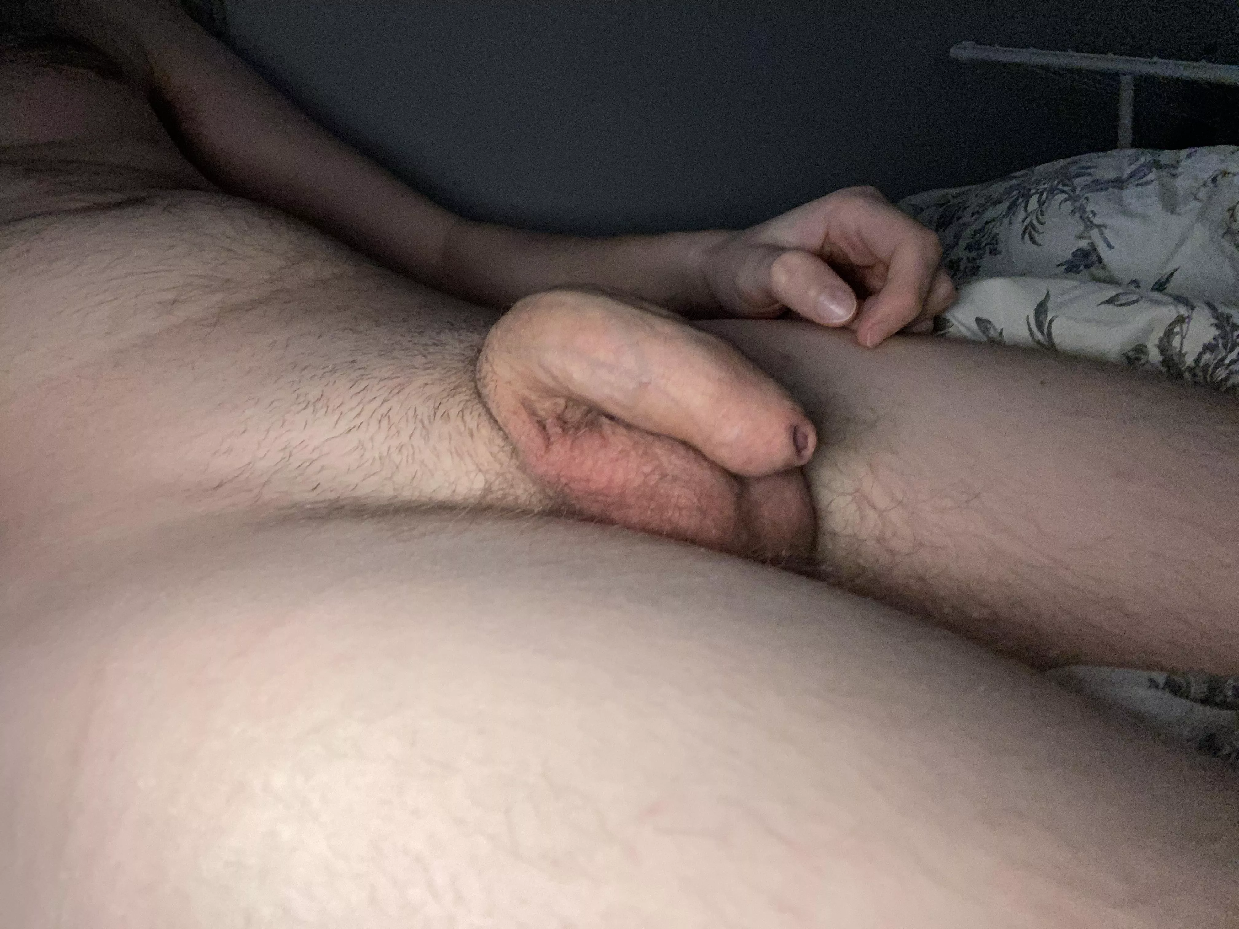 Wanna see it grow? posted by sleepydinguss