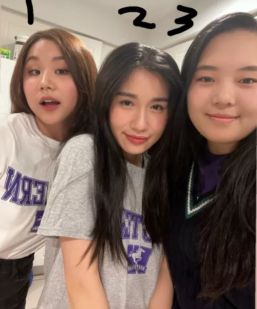 Which one will you play with? by qpdigu