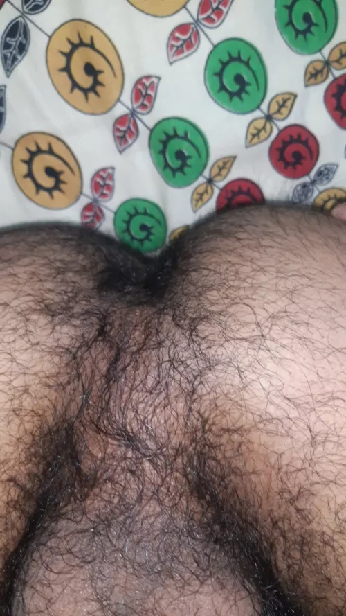 22 bottom sc: hairybr1 by Alert_King5502