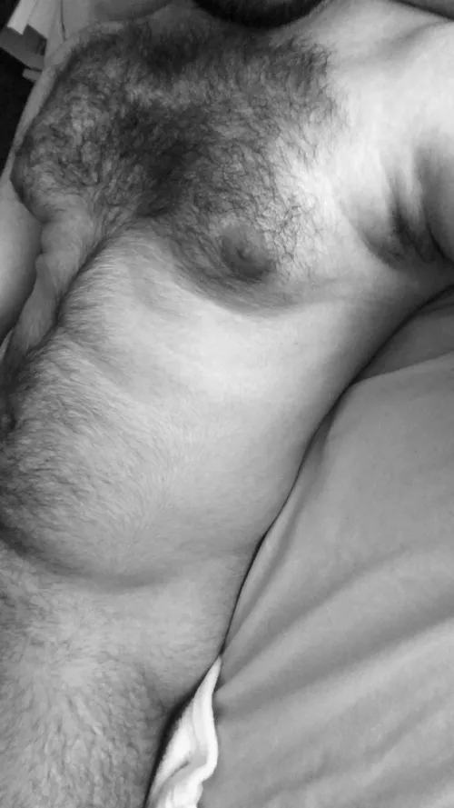 27 face+ fun+ sc: gayhairyvers by tas106