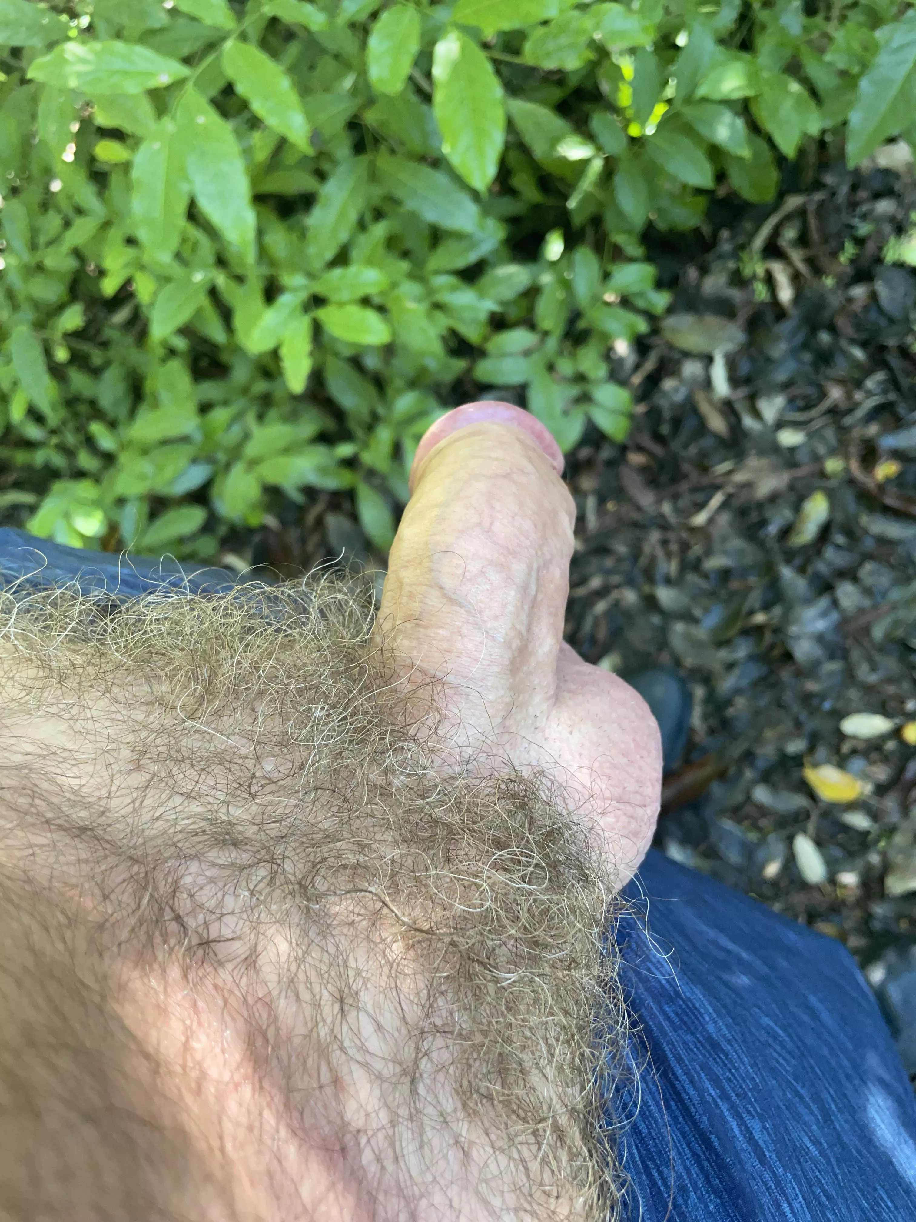 A needed a breather while walking this AM. What if you saw me? posted by Sydrawtop