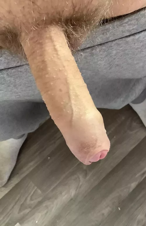 Anyone want my cock inside them? by Stuck_Guy