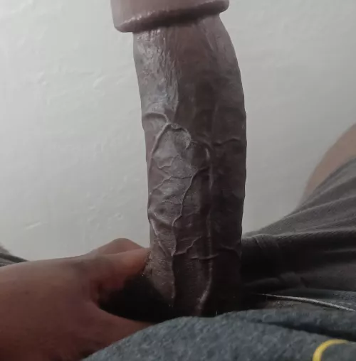 Big Bay Area dick for your pleasure 😘 by Rando_Calrissian151