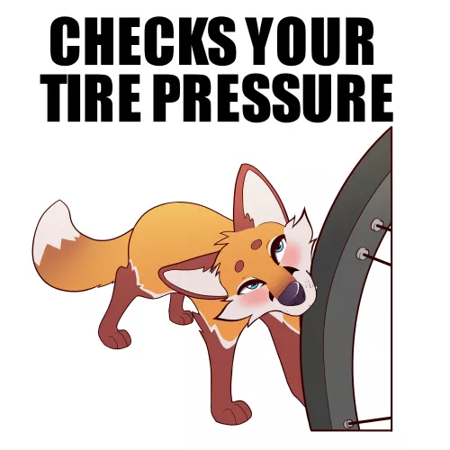 Checks your tire pressure by Mammoth-Guess-955