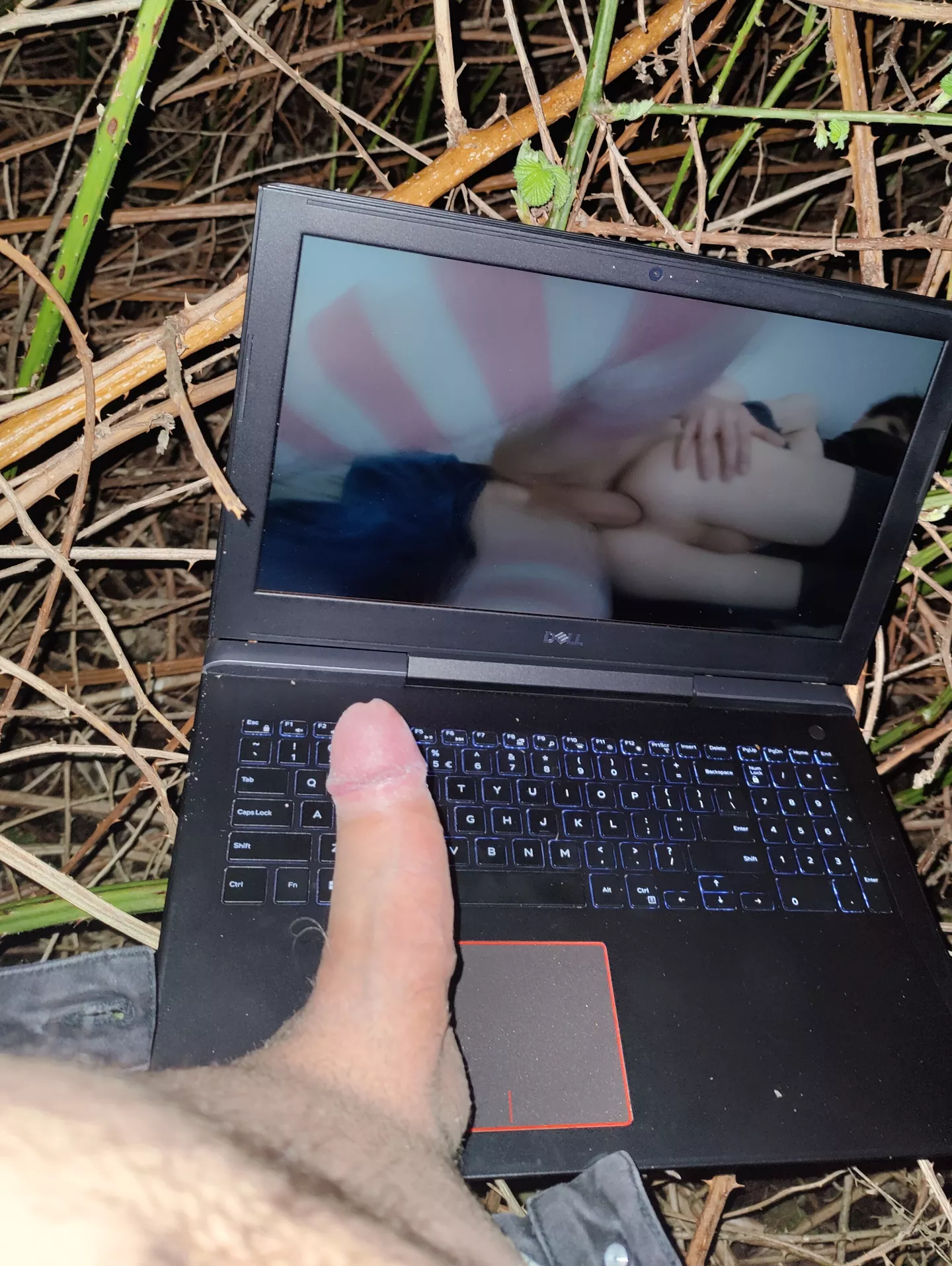 Felt a little frisky at night posted by GermanArmyForces