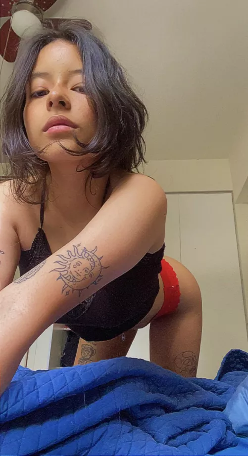 Good morning from your favourite latina [F] by leadeashy