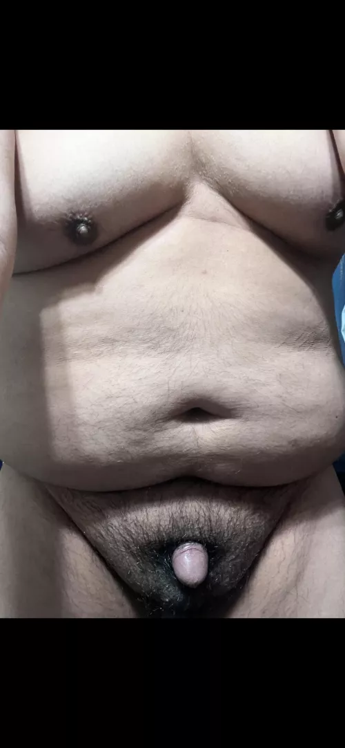 Happy Wednesday by PhoenixMK