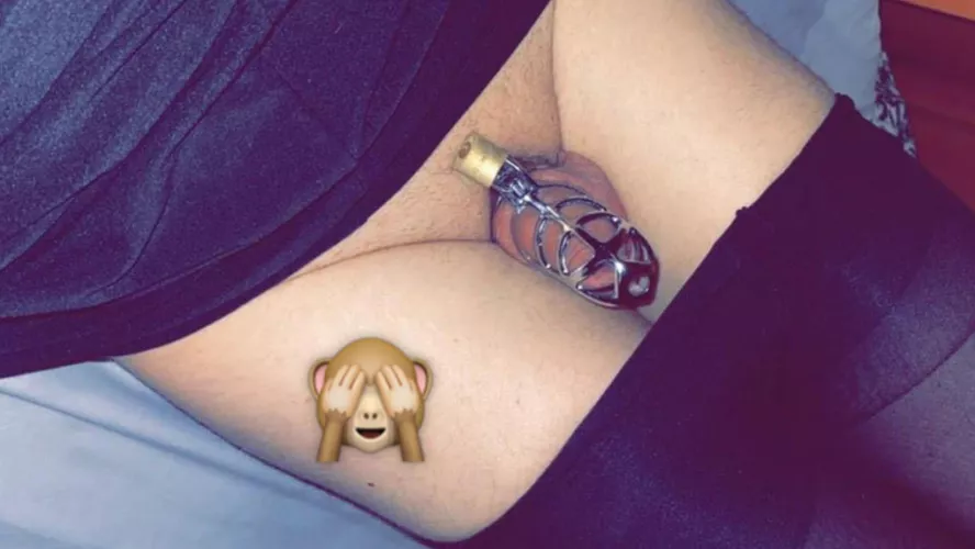 I have our grown my cage and need a smaller one… got a nice pink one on my wish list if only I could get spoilt… by Sub_sissy_