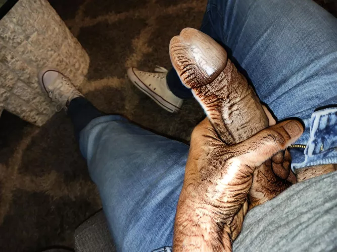 Just fur laughs... by Salty_Cake_5079