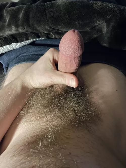 Night bush by bpm2113