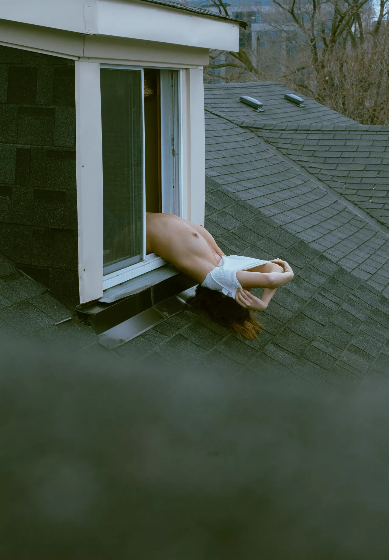 Out the window posted by bubblrisback