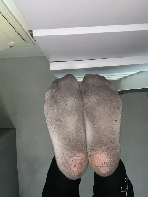 Shall I bring them closer?🤔 by HxnnahGB