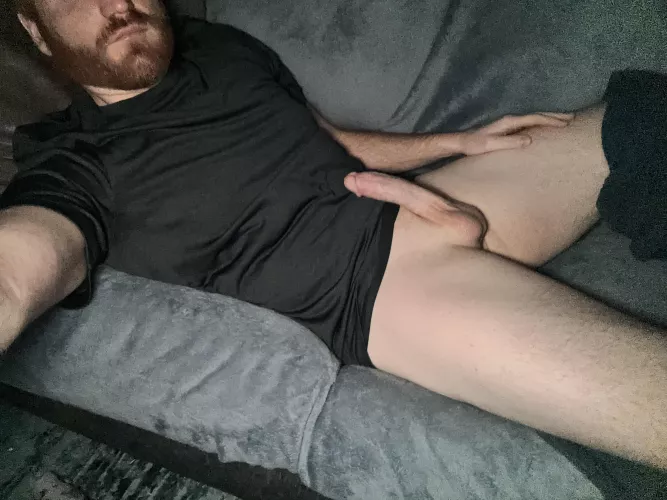 Sit on a ginger beard today! by xfs9571