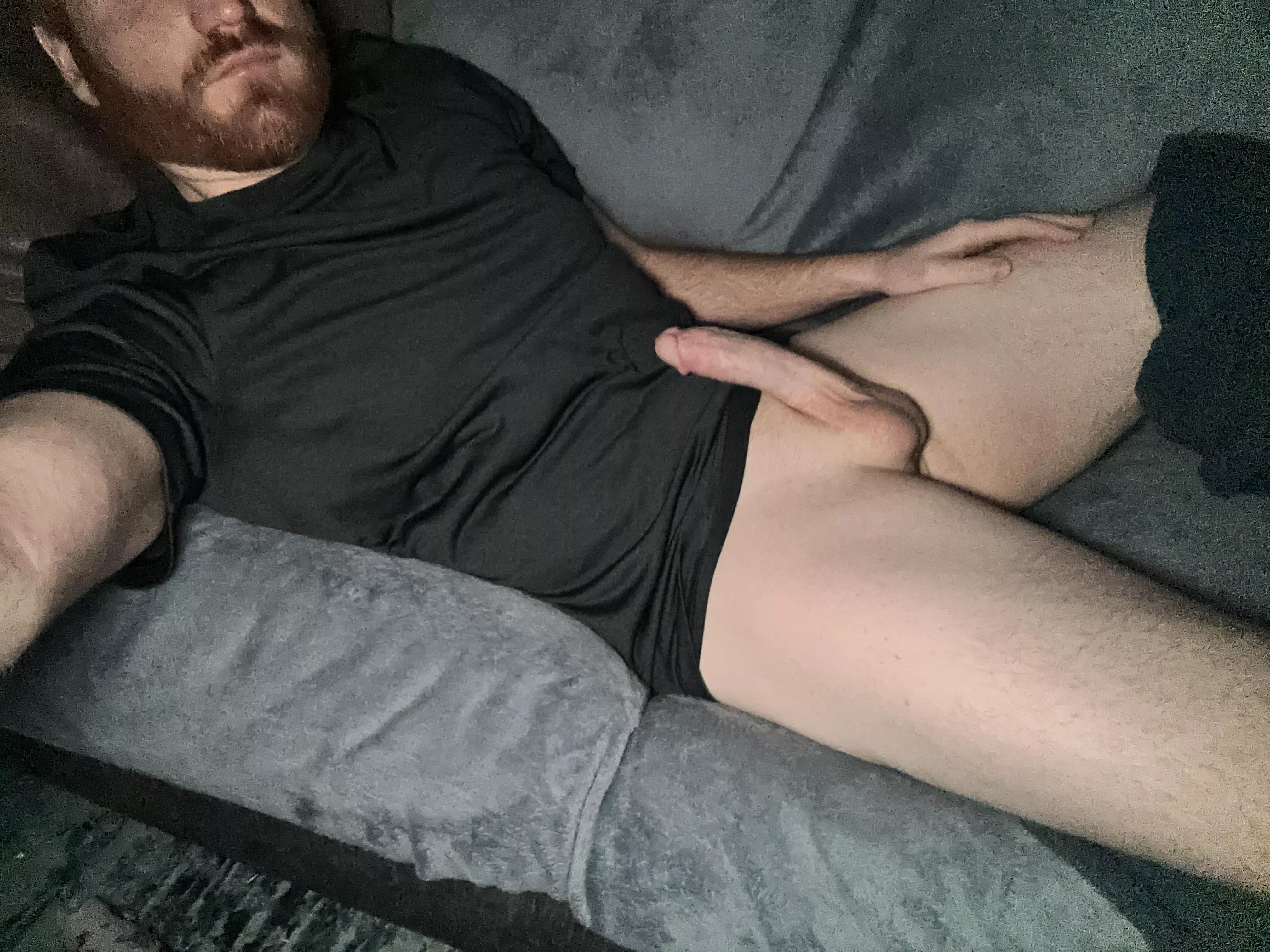 Sit on a ginger beard today! posted by xfs9571