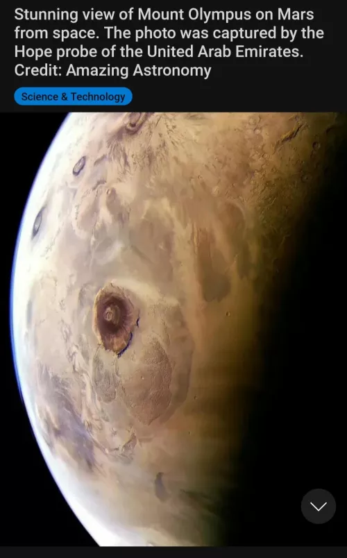 The Ultimate Pimple ! by Renxo707