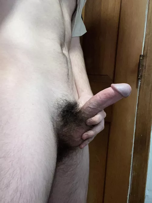 Thoughts? by radunner