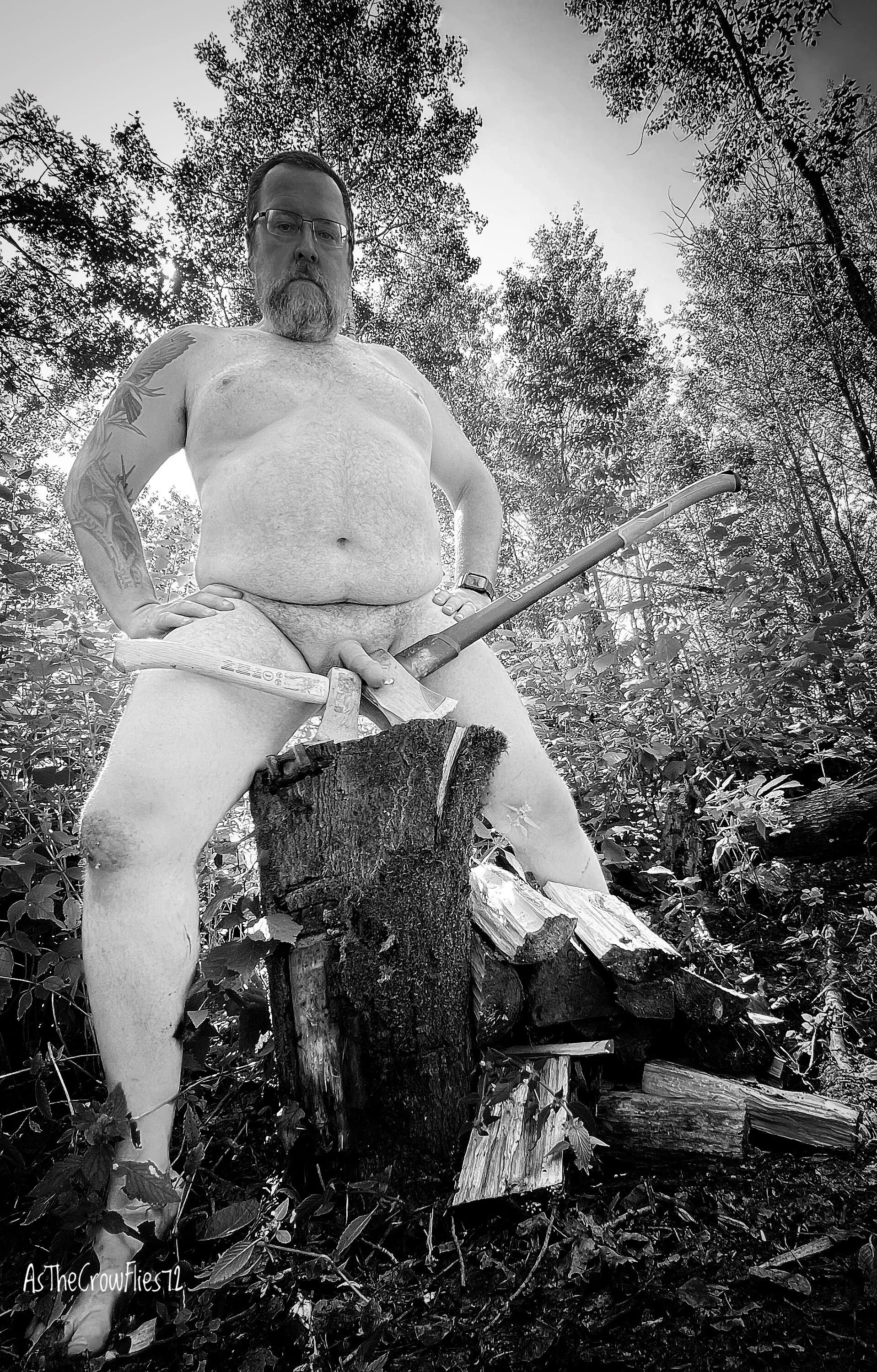 Time to process some wood posted by AsTheCrowFlies72