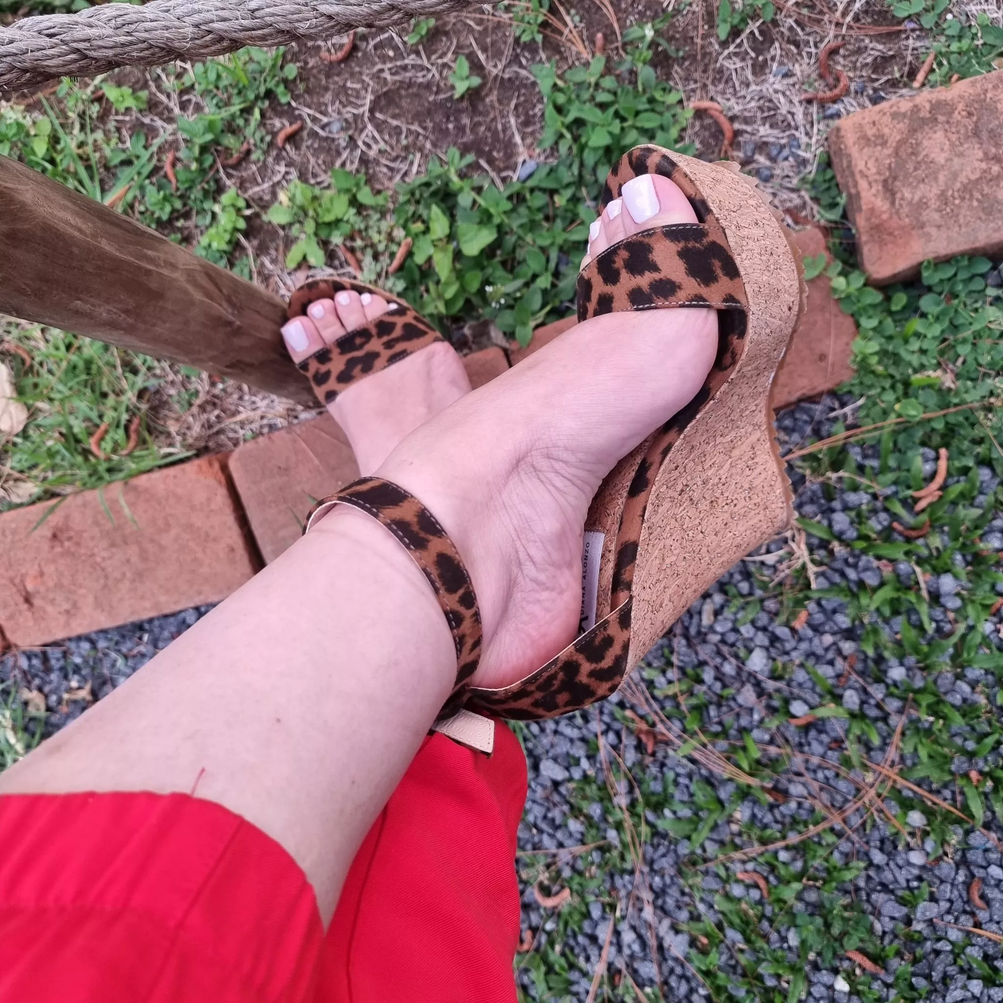 Verano para mostrar posted by tecolotadiurna