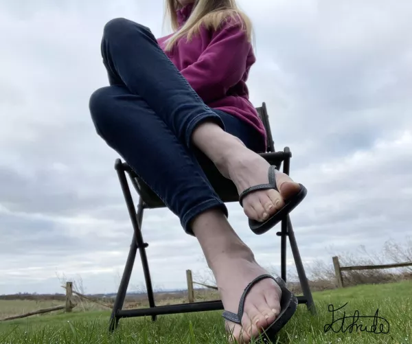 Would you stop and stare? by Elfrida77