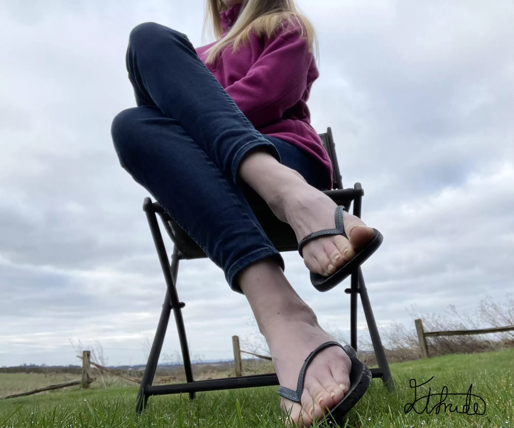 Would you stop and stare? posted by Elfrida77