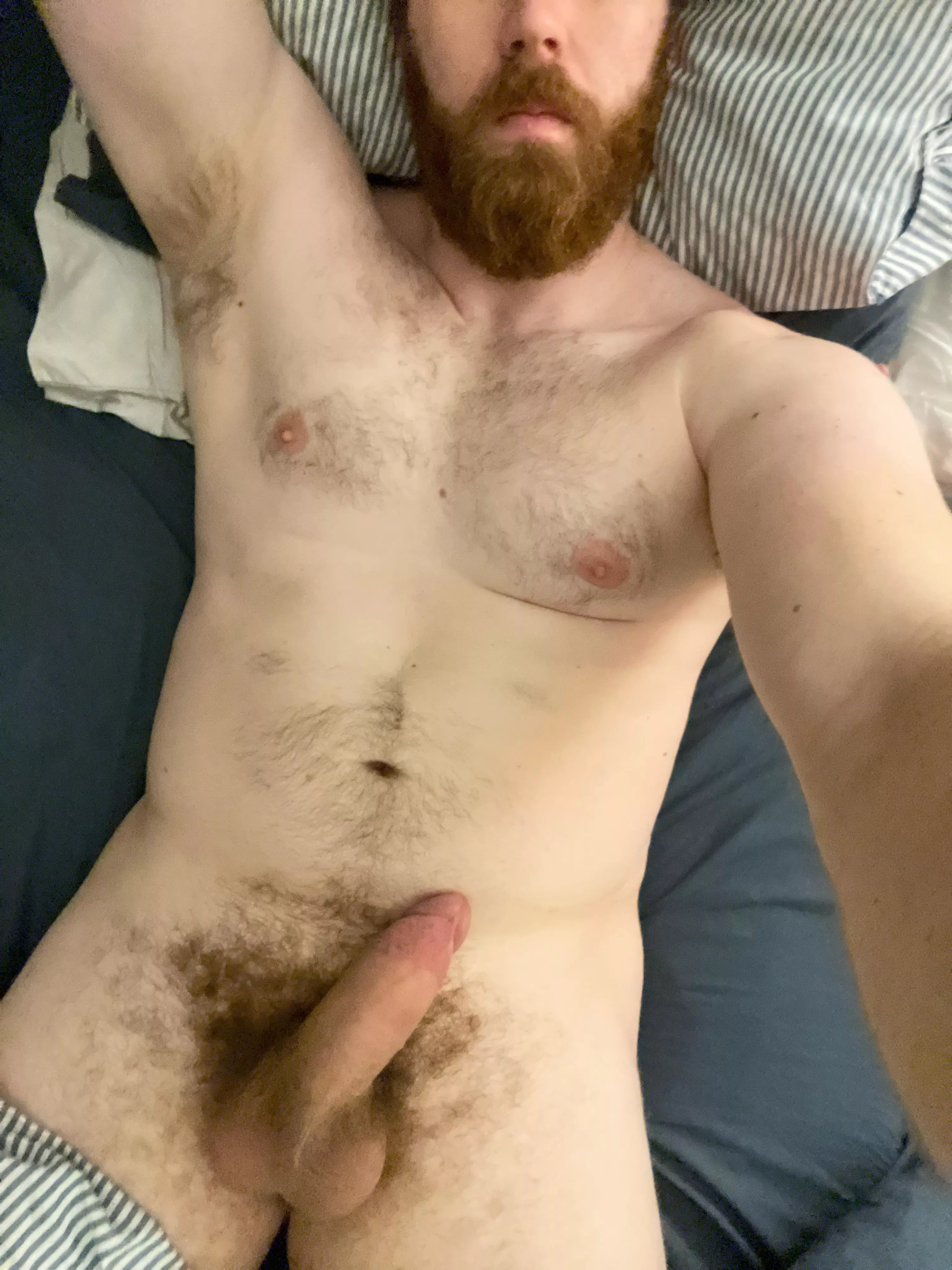 29, 6’5”, bi, and so hard thinking about pleasing you with my thick beard, thick cock, or fat ass. Tell me which one you want. posted by Decent_Opposite5521