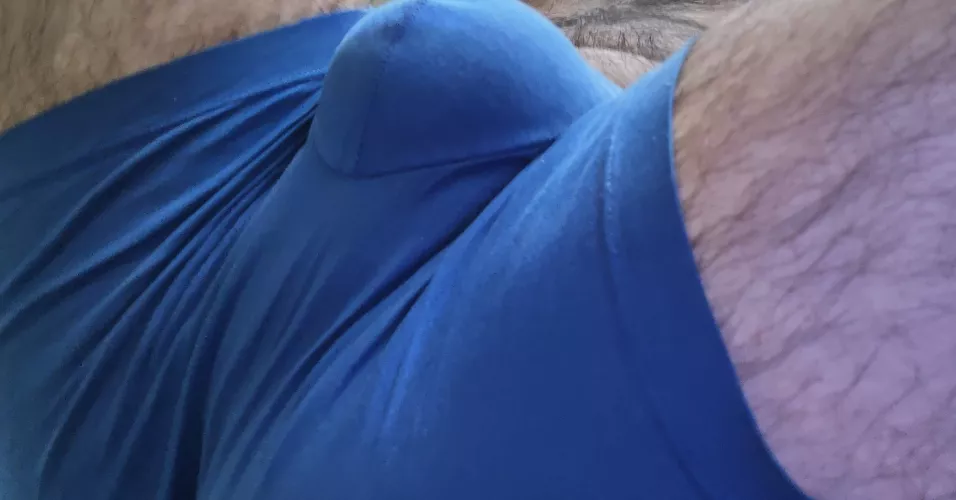 Boxer Bulge by MassiveWeather