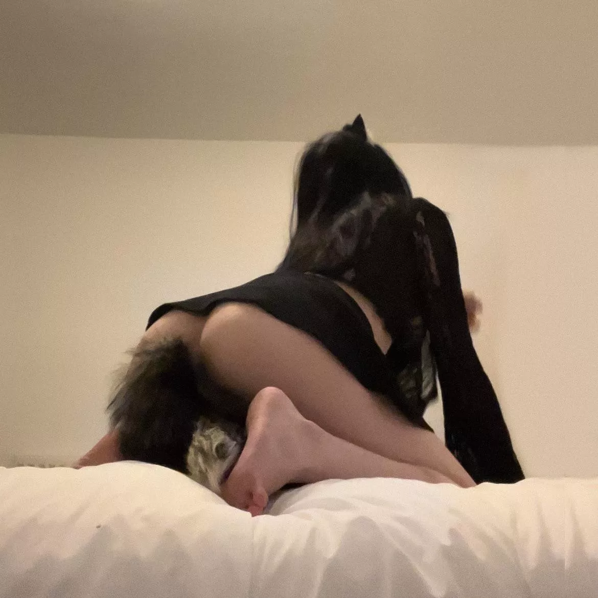 Can I sit on your face please? 🥺👉👈 posted by Ce_Luna