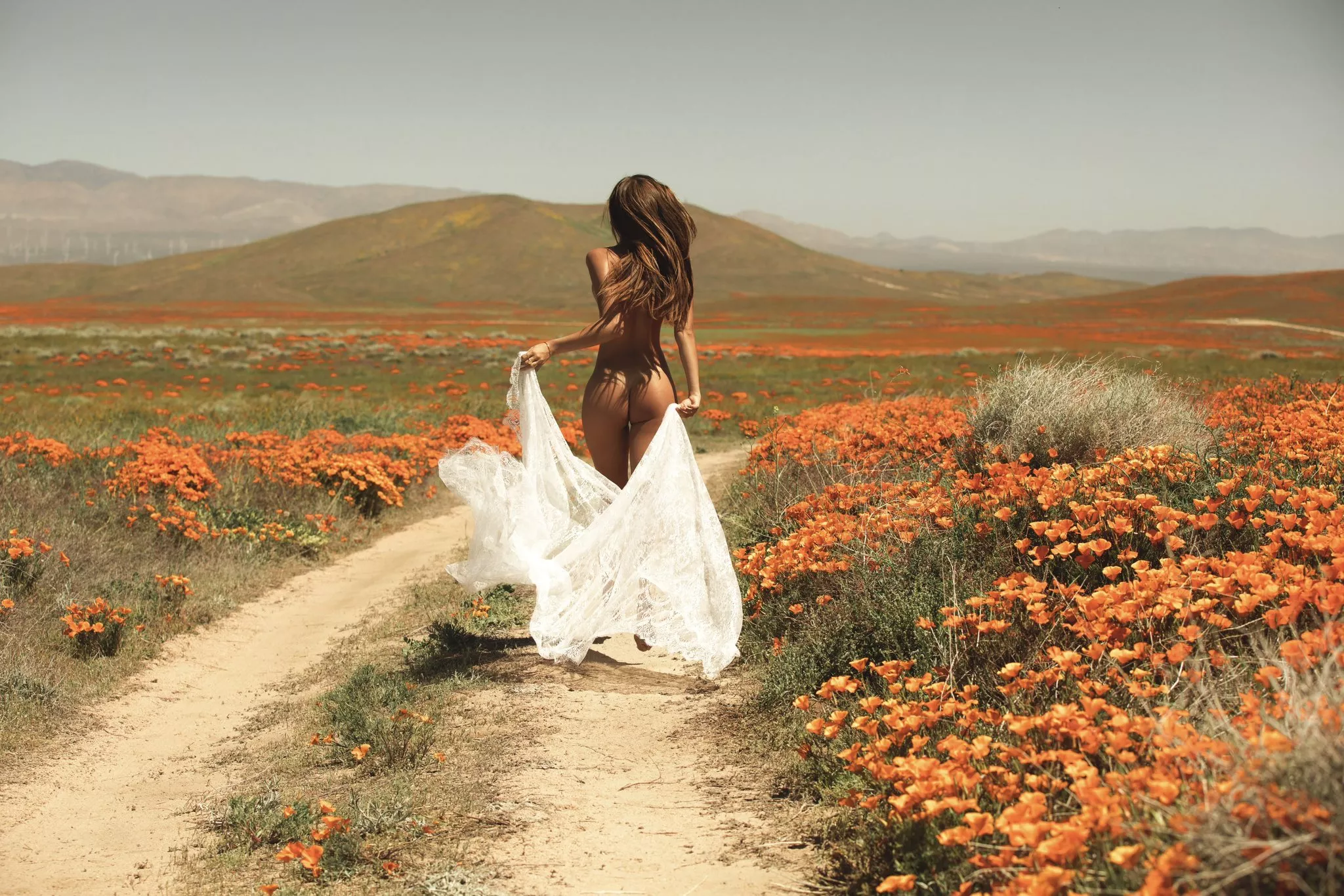 Chasing the horizon posted by legendsoflustauthor