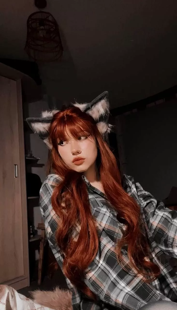 find my tail🦊 posted by Luna_foxie