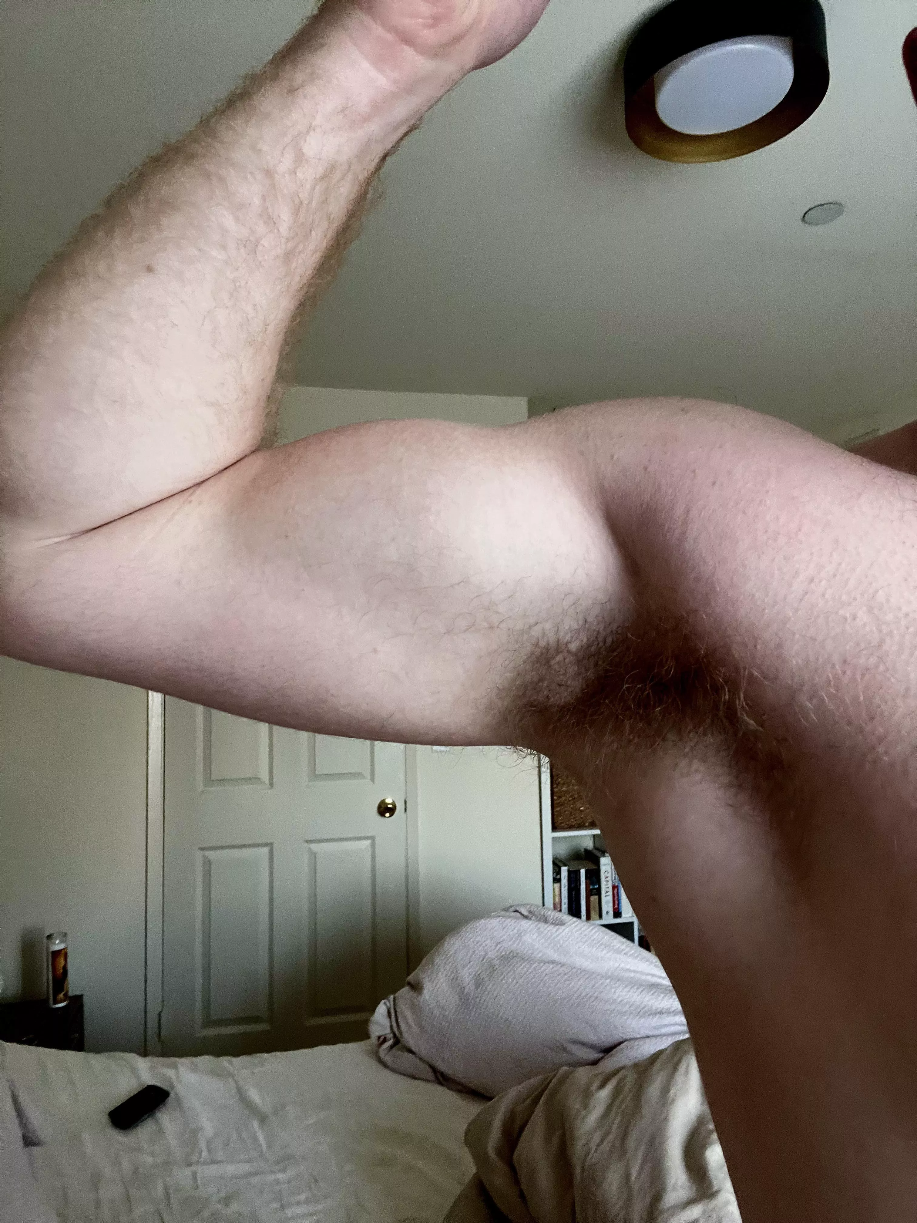 Get in here bro posted by gbull404