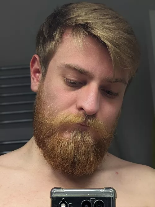 Good beard day by direbearrawr