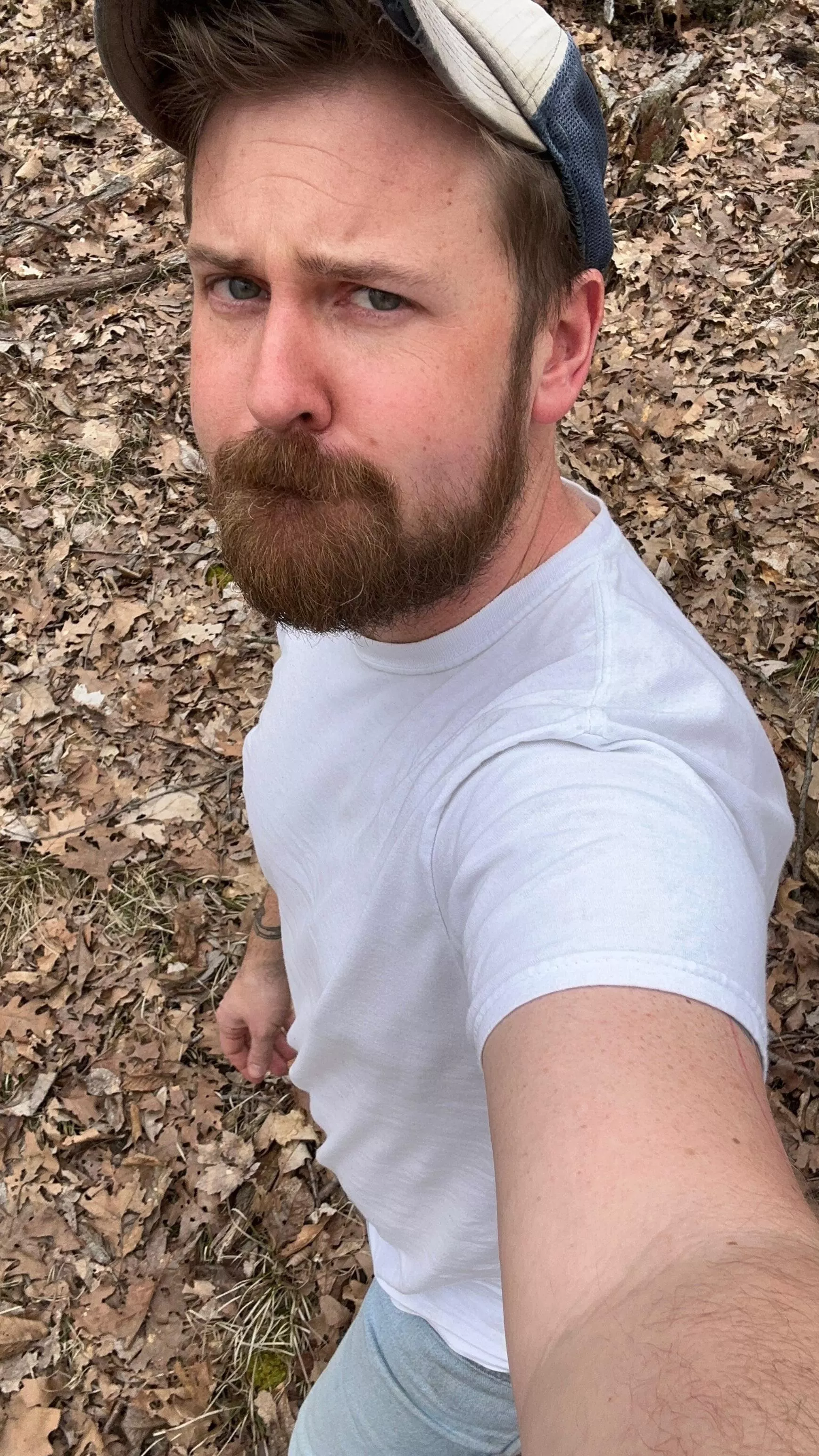 Great walk in the woods 🌲 posted by ratherbeoutside69