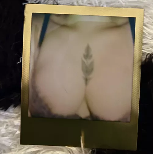 i love a good tease by velvetchoir