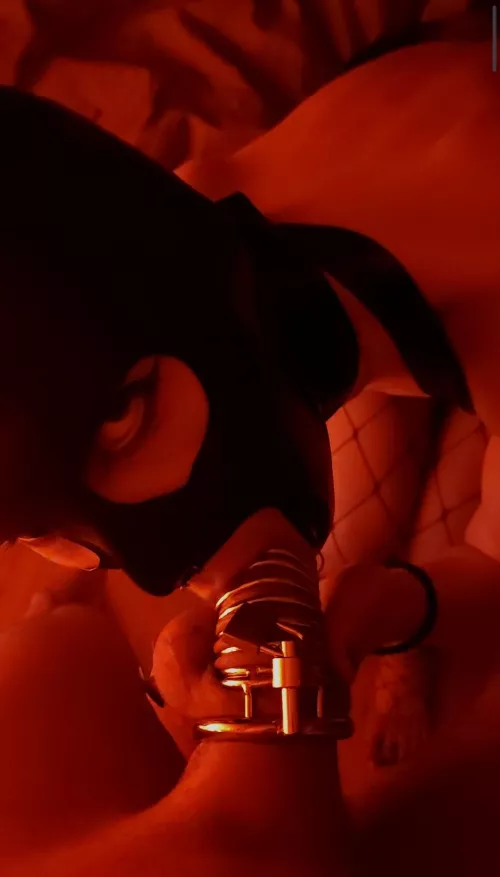 I love to hear him moan while I suck on his cage by AlineaLatex