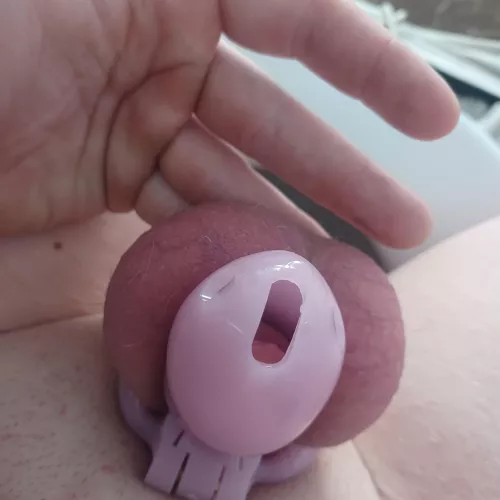 Last day in This chasty before my flat face chasity hehe by OwnmeFortheNight