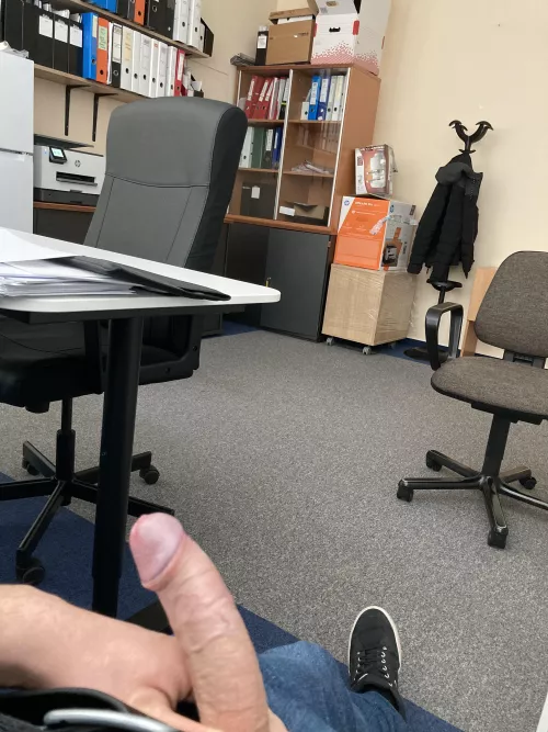 Lazy day at the office by dickens02