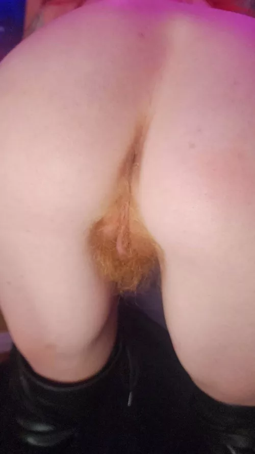 Meow by ababypinecone