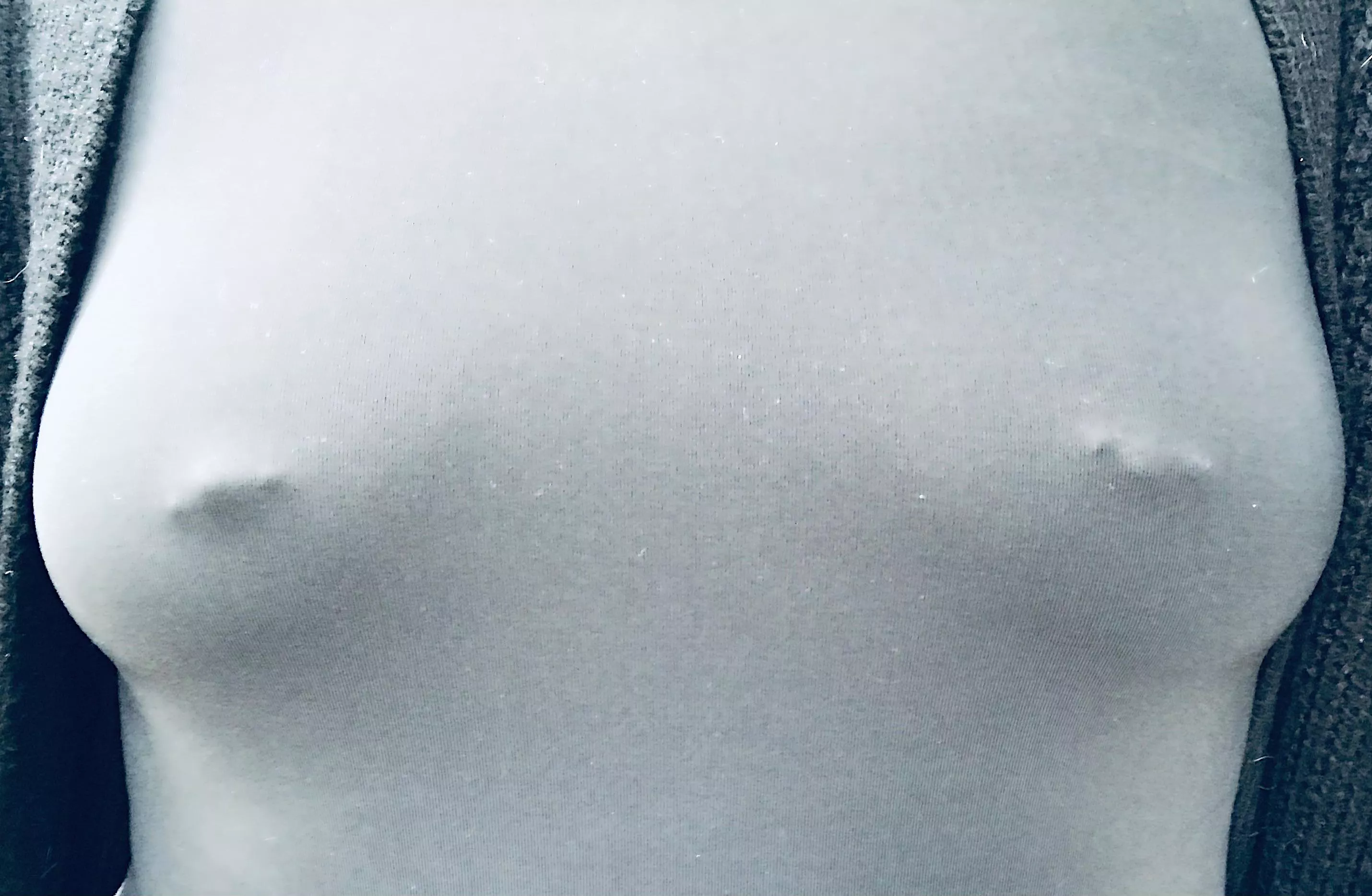 Morning pokies posted by Great-Chocolate-3354