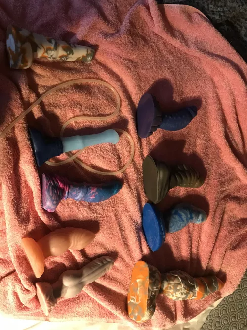 My collection so far :) by Remarkable_Ad_7531