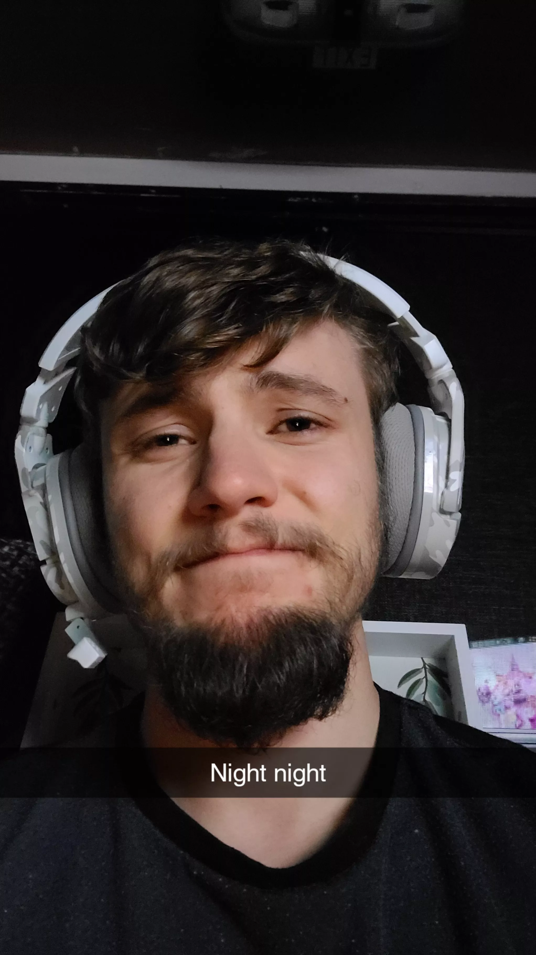 Night night. 😪 posted by guacamole_gizmo