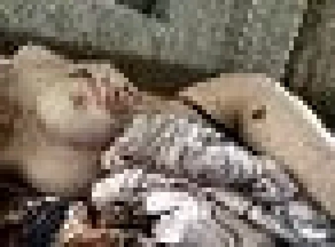 Peek a boo! by skytbangub