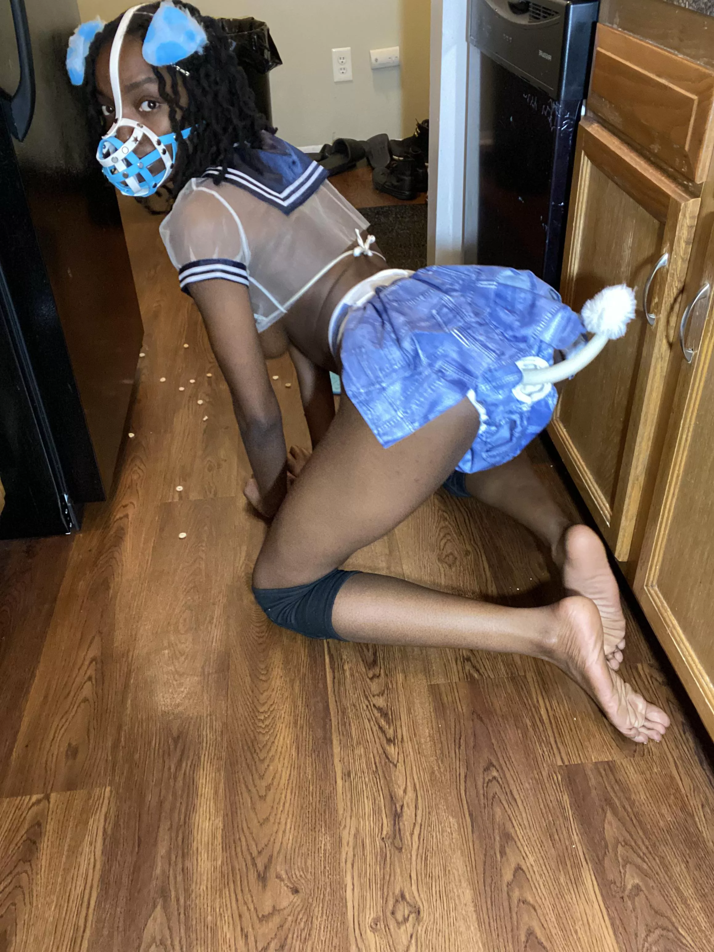 Poofy puppy diaper butt🐾🦴🐶 posted by Paddedpuppy_