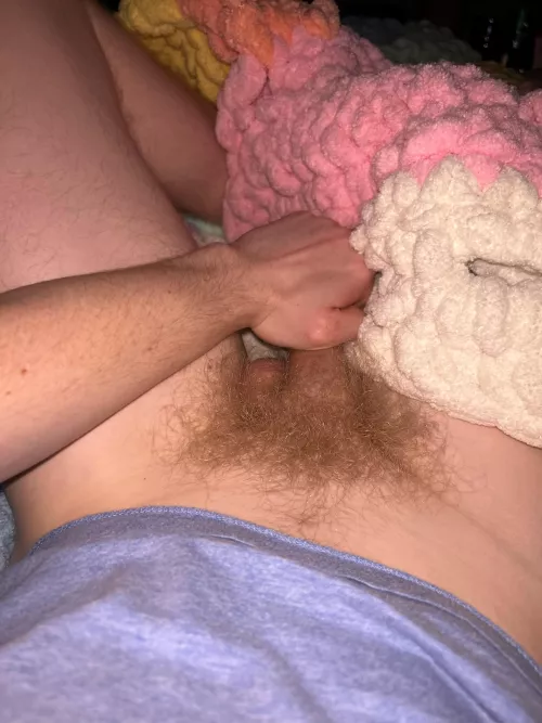 Proud of this bush 24 by buymypic