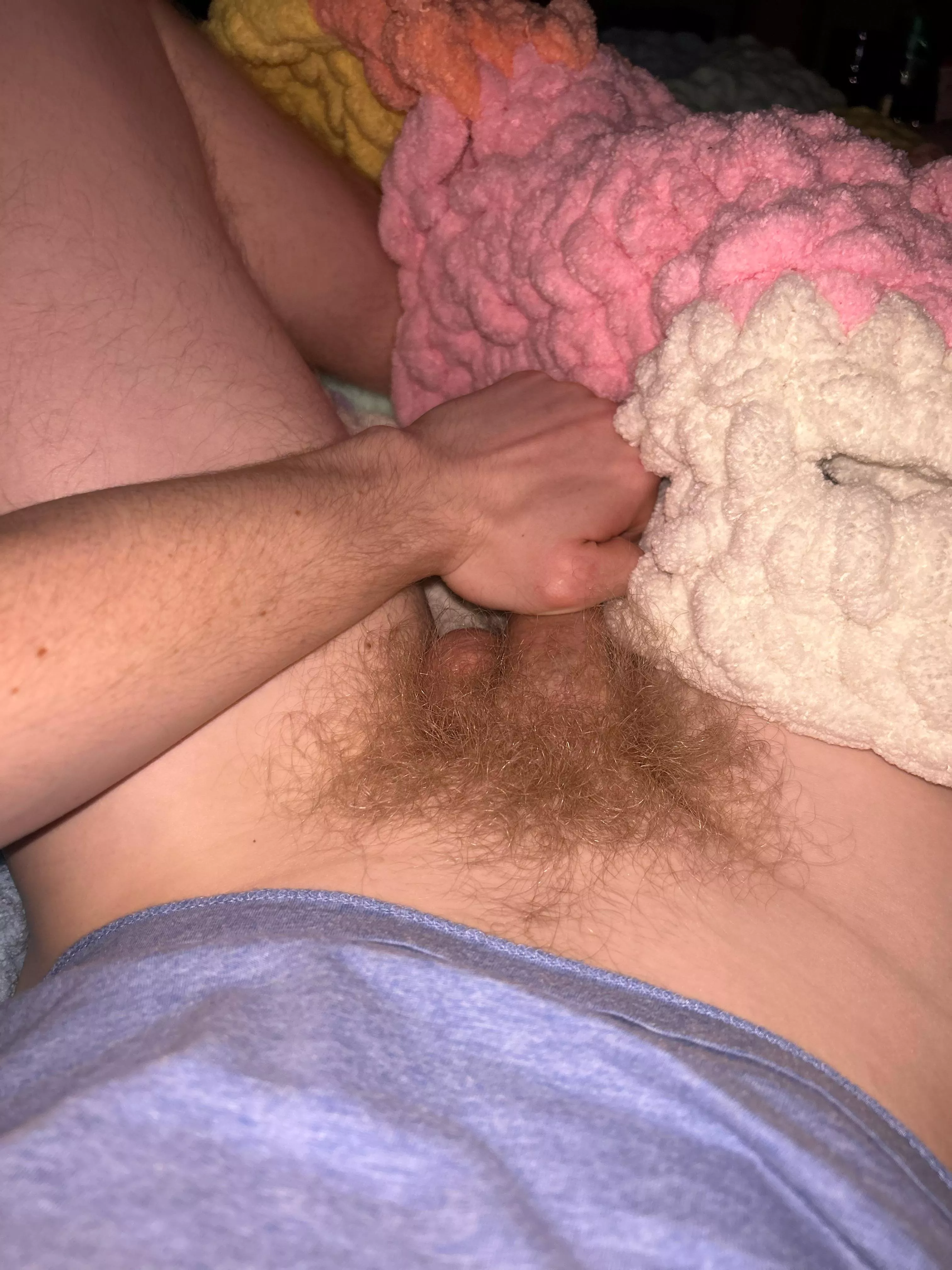 Proud of this bush 24 posted by buymypic