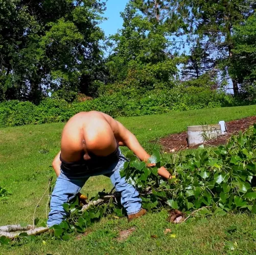 storm blew a bunch of big branches off the trees by househubbyernie